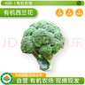 沈佳農有機西蘭花300g分切新鮮生鮮輔食無(wú)農藥輕食沙拉有機蔬菜順豐配送 西蘭花300g【已分切】 曬單實(shí)拍圖