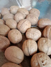 新邊界（new boundaries）薄皮核桃1500g 新疆特產(chǎn)阿克蘇核桃堅(jiān)果炒貨手剝?cè)读控?曬單實(shí)拍圖