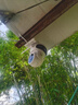 HKMW華為機(jī)(HUAWEl)適用攝像頭無(wú)線手機(jī)遠(yuǎn)程監(jiān)控器家用室外高清夜視360度無(wú)死角攝影 4G太陽(yáng)能款【超廣角雙鏡頭+免充值-0費(fèi)用】無(wú)需電 30天全天循環(huán)錄像 x 5MP x 長(zhǎng)焦(監(jiān)控距離 曬單實(shí)拍圖