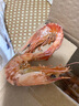 百鮮洽九節蝦干特大烤蝦干蝦斑節對蝦烤蝦干即食孕婦零食海鮮干貨凈重 中號-九節蝦干250g【約25-32只】 曬單實(shí)拍圖
