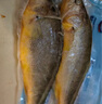 海名威 冷凍黃花魚700g/2條 寧德大黃魚地標 海鮮水產 生鮮魚類  曬單實拍圖