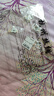 衣典零一（LEDIALYI）2025春秋季女裝新款休閑洋氣高級感真絲襯衫女桑蠶絲襯衣長(cháng)袖上衣 杏色 M 曬單實(shí)拍圖