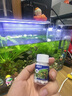 ZOZX德國品質(zhì)魚缸除藻劑去苔劑凈青苔清除劑褐藻去除神器綠水綠藻絲藻 高分子濃縮【1瓶100?！烤G藻不再生 曬單實拍圖