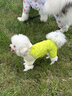 MIKI PAD狗狗雨衣四腳防臟狗衣服涼涼衣夏季薄款貓咪衣服中小型犬防曬衣 輕薄晴雨兩用防曬衣 M胸圍50CM【適合11-16斤】 曬單實拍圖