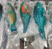 海南三沙西沙魚 青衣魚西星斑彩眉魚海鮮套餐雜魚組合裝五斤 5斤裝中珊瑚魚加禮盒（4-6條） 曬單實(shí)拍圖