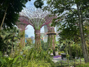 馬來西亞+新加坡6天跟團游+魚尾獅公園+濱海南花園+馬六甲海峽+雙子塔+正點航班 曬單實拍圖