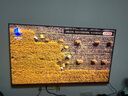 海信電視E8Q 65英寸 信芯H6 U+MiniLED  黑曜屏 首發(fā)300Hz高刷 帝瓦雷音響 E8NPRO升級(jí) 政府補(bǔ)貼65E8Q 65英寸 曬單實(shí)拍圖