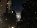 貓人（MiiOW）睡衣女士夏季性感吊帶短褲兩件套裝新款感夏天冰真絲綢家居服 黑色 絲光棉美背 2XL 120 145斤 曬單實(shí)拍圖