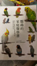 現貨 鸚鵡的家庭醫學(xué)書(shū)：深度了解寵物鳥(niǎo)的健康飼養方法 遠離疾病快樂(lè )陪伴 瑞升 鈴木莉萌 曬單實(shí)拍圖