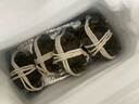 【活蟹】乾澄大閘蟹現(xiàn)貨 全母2.3-2.6兩8只 六月黃鮮活螃蟹去繩足重海鮮禮盒裝源頭直發(fā) 曬單實(shí)拍圖