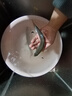 千峰劍（QIANFENGJIAN）海桿全套一整套拋竿海竿套裝漁具魚竿海釣魚竿筏竿遠(yuǎn)投竿用品大全 2套2.1米+3000金屬輪套裝 曬單實(shí)拍圖
