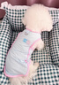 阿莫爾狗狗衣服夏季清涼冰絲背心貓咪衣服防掉毛防曬小型犬比熊小狗衣服 清新綠【冰爽透氣帶牽引扣】 XS(建議1-3斤具體參考胸圍背長(cháng)) 曬單實(shí)拍圖
