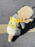 MIKI PAD寵物狗狗衣服小型犬可牽引外出背帶褲春夏幼犬衣服比熊泰迪雪納瑞 黃色小熊背帶褲 M背長30cm（參考體重6-10斤） 曬單實拍圖