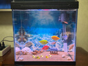 SEA STAR海星魚(yú)缸水族箱 數顯生態(tài)智能觸控變色LED金魚(yú)缸超白玻璃小型魚(yú)缸 OY300超白玻璃(標配 曬單實(shí)拍圖