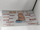 都市麗人純棉正肩短袖t恤女夏季半袖上衣不規(guī)則顯瘦汗衫打底衫 白色 XL 曬單實(shí)拍圖