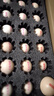 貴州正宗無抗雞蛋農(nóng)家散養(yǎng)溜達(dá)雞農(nóng)村自養(yǎng)鮮草雞蛋純笨雞蛋50g/枚 貴州無抗新鮮雞蛋30枚裝50g/枚 曬單實(shí)拍圖