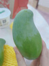 南步廣西桂七芒果【順豐到家】百色田東大青皮芒貴七香芒新鮮水果禮盒 3斤 精品特大果【單果5兩+】 曬單實(shí)拍圖