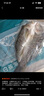 釣魚記開背海鱸魚1斤-1.3斤 三去凈重 冷凍 生鮮 魚類 海鮮水產(chǎn) 曬單實(shí)拍圖