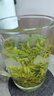 江南一徑2025杭州余杭正宗徑山茶清明假期43號花香廠(chǎng)家直銷(xiāo)余杭特產(chǎn)袋裝 軍綠色 曬單實(shí)拍圖