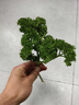 BLINHCLEAN香水洗衣液持久留香型套裝10斤 除菌除螨 手洗機(jī)洗家庭裝整箱 曬單實(shí)拍圖