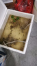 靜沃松寶靜音魚缸氧氣泵增氧泵養(yǎng)魚增氧機(jī)小型靜音家用加氧泵打氧泵 松寶738(雙孔)3.5W+4米氣管+2氣石 曬單實(shí)拍圖