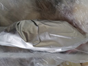 片言片魚 千島湖生態(tài)河鱸魚 凈膛后1.6斤 2-3條 冰鮮整魚 源頭直發(fā) 曬單實拍圖