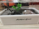 Barbarous Growth烏龜缸帶曬臺生態(tài)養龜專(zhuān)用缸烏龜爬寵飼養箱養烏龜盆龜箱白色中號 曬單實(shí)拍圖