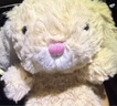 Jellycat米色甜美小兔小短腿公仔動物毛絨玩偶小生日娃娃生日禮物 甜美小兔 One Size 曬單實拍圖