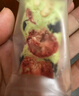 豬兄草莓羊奶芙500g正宗雪花酥兒童早餐餅干蛋糕點(diǎn)心拉絲糖沙琪瑪1斤 曬單實(shí)拍圖
