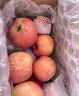 新疆阿克蘇冰糖蘋(píng)果5斤冰糖心丑蘋(píng)果10斤精選大果 5斤 80mm(含)-85mm(不含) 曬單實(shí)拍圖