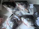 深?lèi)倓倥餐r速凍三文魚(yú)頭魚(yú)骨 瘦肉邊角料煲湯 人和寵物狗糧貓糧食材 【三文魚(yú)頭500g個(gè)】  4個(gè) 2000g 曬單實(shí)拍圖