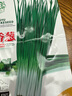 京譽(yù)四季小香蔥紅蔥頭盆栽火蔥四季蔥榨蔥油蔥頭香蔥根苗蔥頭食用本地 四季小香蔥【種子1000粒1包不是蔥頭】 曬單實(shí)拍圖