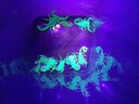 天火（SkyFire）辰龍穿天炮手電筒知了猴激光強(qiáng)光戶外家用充電超亮遠(yuǎn)射超長(zhǎng)續(xù)航 辰龍/1800LM/送聚焦透鏡/標(biāo)配 曬單實(shí)拍圖