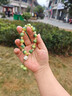 UOSU貓爪手鏈招財(cái)貓可愛(ài)串珠手鏈小眾設(shè)計(jì)ins學(xué)生菩提子手串閨蜜禮物 小梨渦貓爪手持【11-12mm盒裝】 曬單實(shí)拍圖