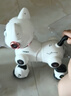 索迪AI智能機(jī)器人遙控汽車機(jī)器狗貓嬰幼兒童玩具女孩周歲寶寶生日禮物 曬單實(shí)拍圖