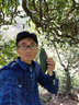 DZSF質(zhì)量云感棉2025新款男士牛仔褲灰色夏季彈力修身薄高端休閑長(zhǎng)褲子 灰色 29 曬單實(shí)拍圖