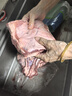 炙臻火牛巴西進口谷飼原切牛肋條4斤/袋 生鮮牛肉 清真鹵燉燒炒 源頭直發(fā) 曬單實拍圖