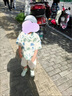 G.DUCKKIDS小黃鴨漢服男童套裝夏季薄款兒童中國風(fēng)兩件套寶寶周歲禮服表演服 米色 110 尺碼4~5歲【100-110cm】 曬單實(shí)拍圖