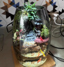 新年喬遷禮盒苔蘚微景觀(guān)生態(tài)瓶創(chuàng  )意面造景綠植盆栽節日生日禮物 生命之樹(shù)微景觀(guān)（煙灰款）植物燈 曬單實(shí)拍圖