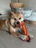 拉夫威爾ruffwear福朗特胸背狗狗胸背帶大小型犬拉布拉多背心式牽引背帶 火焰橘 M 曬單實拍圖