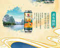 漓泉啤酒 桂林山水罐紀(jì)念款 10度 精釀啤酒  整箱聽(tīng)裝 燕京啤酒旗下 山水罐- 500mL 15罐 整箱裝 曬單實(shí)拍圖