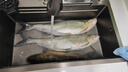 威拓森高端競技隱形線(xiàn)組成品主線(xiàn)組全套魚(yú)線(xiàn)主線(xiàn)綁好黑坑大物線(xiàn)組 7.2m超強拉力【3卷裝】 6號 曬單實(shí)拍圖