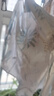 顆粒熊（KELIXIONG）新款嬰兒衣服夏季薄款男女寶寶短袖連體衣新生兒空調(diào)服無骨和尚服 探索叢林 73cm 73碼(適合6-9月) 曬單實拍圖