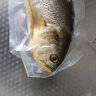 GUO LIAN國聯(lián) 三去黃花魚(yú)2條 共凈重2斤國產(chǎn)寧德東海大黃魚(yú) 海鮮水產(chǎn)生鮮 曬單實(shí)拍圖