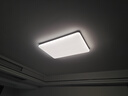 歐普（OPPLE）全光譜護(hù)眼吸頂燈客廳燈智能LED照明燈具簡約包安裝套餐1 凝月4 曬單實(shí)拍圖