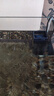 AMTRA TECHNIK德國(guó)安彩 魚缸去除油膜處理器增氧過(guò)濾除油污 除油膜過(guò)濾器 曬單實(shí)拍圖
