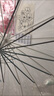 天瑋傘業(yè)（Tianwei umbrella）16骨透明傘纖維骨抗風自動純色POE傘簡約純色便捷長柄傘可定制 曬單實拍圖