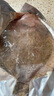 一蝦一世界鮮活三去多寶魚（去鱗去腮去內臟）生鮮魚類 開袋即烹 無冰凈重400g*5條【免處理】 曬單實拍圖