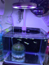 燕之雁 魚缸LED夾燈 環(huán)形360度調(diào)節(jié) 小型水族觀賞燈照明水草燈 USB 5W 曬單實(shí)拍圖