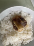 沃典 澳洲谷飼原切牛尾骨 凈重2斤贈(zèng)料包燉煮煲湯生鮮牛肉 源頭直發(fā) 曬單實(shí)拍圖